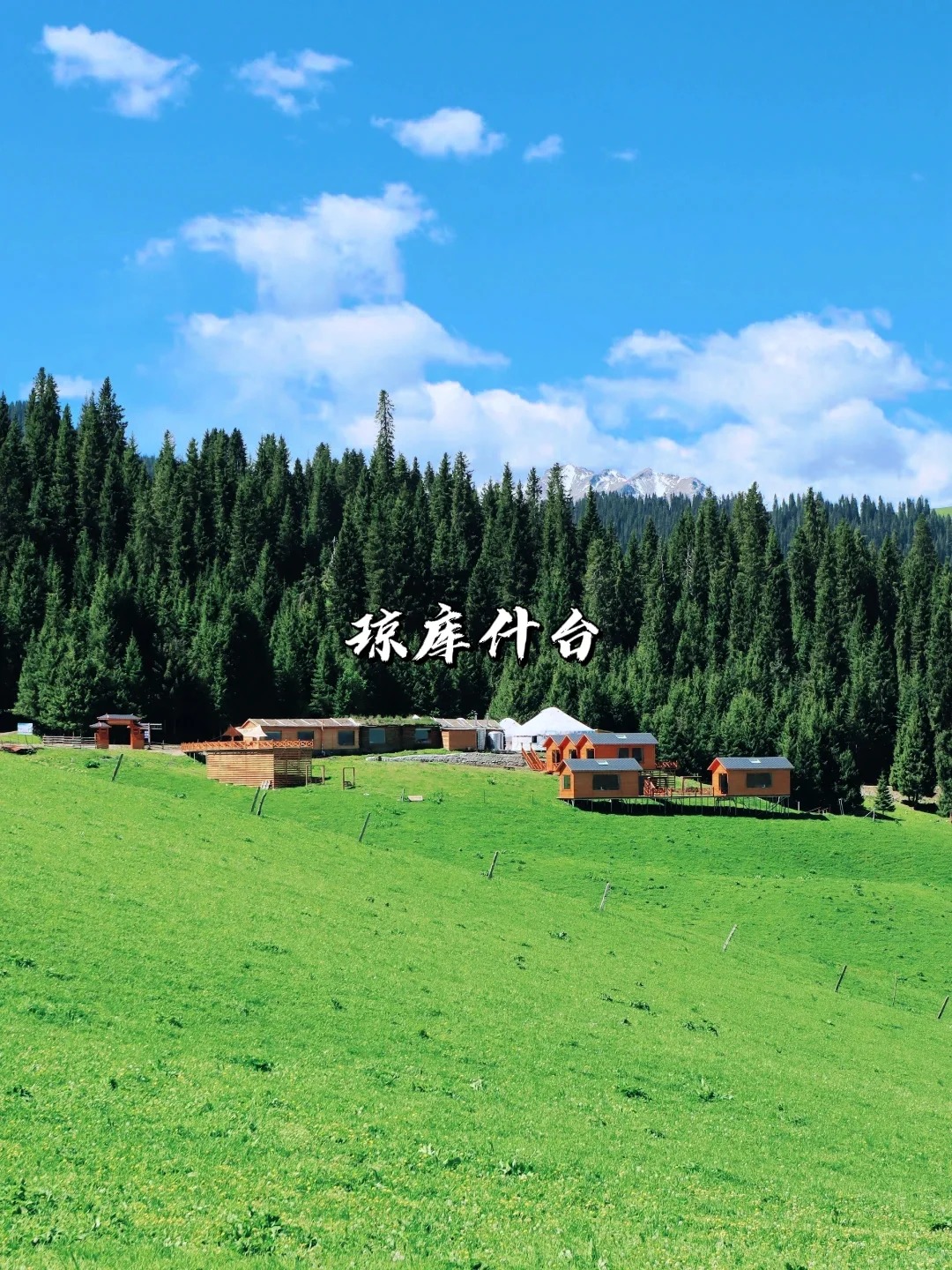 一次性讲清楚｜新疆伊犁八大草原怎么选？_4_风驰旅行_来自tour520旅游攻略